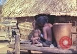 Image of Vietnamese huts Vietnam, 1966, second 28 stock footage video 65675058797