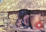 Image of Vietnamese huts Vietnam, 1966, second 33 stock footage video 65675058797
