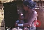Image of Vietnamese huts Vietnam, 1966, second 38 stock footage video 65675058797