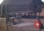 Image of Vietnamese villagers Vietnam, 1966, second 31 stock footage video 65675058800