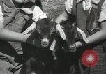 Standbild Haustiere Berkeley California USA, 1936, aus Sekunde 36 historischem Filmmaterial Videoclip 65675058806