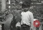 Standbild Haustiere Berkeley California USA, 1936, aus Sekunde 43 historischem Filmmaterial Videoclip 65675058806