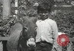 Standbild Haustiere Berkeley California USA, 1936, aus Sekunde 44 historischem Filmmaterial Videoclip 65675058806