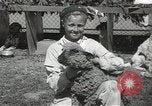 Standbild Haustiere Berkeley California USA, 1936, aus Sekunde 48 historischem Filmmaterial Videoclip 65675058806