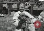 Standbild Haustiere Berkeley California USA, 1936, aus Sekunde 49 historischem Filmmaterial Videoclip 65675058806