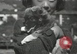 Standbild Haustiere Berkeley California USA, 1936, aus Sekunde 53 historischem Filmmaterial Videoclip 65675058806