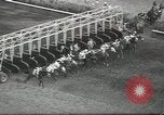 Immagine di Stelle e strisce di handicap Chicago Illinois USA, 1936, secondo 16 filmato di repertorio 65675058820