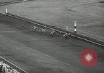 Immagine di Stelle e strisce di handicap Chicago Illinois USA, 1936, secondo 57 filmato di repertorio 65675058820