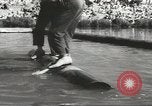 Standbild Ereignisse protokollieren Albany Oregon USA, 1957, aus Sekunde 16 historischem Filmmaterial Videoclip 65675058825