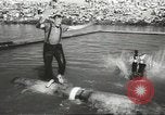 Standbild Ereignisse protokollieren Albany Oregon USA, 1957, aus Sekunde 23 historischem Filmmaterial Videoclip 65675058825