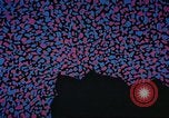 Image of nuclear weapons United States USA, 1975, second 26 stock footage video 65675058829
