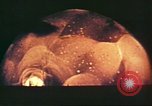 Image Ivy Mike essai de bombe à hydrogène D'Enewetak Atoll Iles Marshall, 1952, de la seconde 3 séquences d'archives historiques vidéo 65675058834