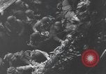 Standbild alliierte Invasion Konvoi unterwegs auf D-Day Normandie Frankreich, 1944, aus Sekunde 60 historischem Filmmaterial Videoclip 65675058845