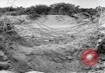 Standbild Wand Gebühren United States USA, 1944, aus Sekunde 43 historischem Filmmaterial Videoclip 65675058850