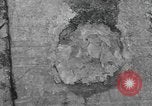 Standbild bar Gebühren United States USA, 1944, aus Sekunde 39 historischem Filmmaterial Videoclip 65675058851