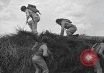 Image of bar charges United States USA, 1944, second 5 stock footage video 65675058854