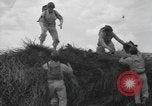 Image of bar charges United States USA, 1944, second 6 stock footage video 65675058854