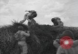 Image of bar charges United States USA, 1944, second 12 stock footage video 65675058854