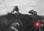 Image of bar charges United States USA, 1944, second 15 stock footage video 65675058854