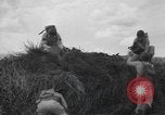 Image of bar charges United States USA, 1944, second 17 stock footage video 65675058854
