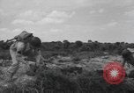 Image of bar charges United States USA, 1944, second 21 stock footage video 65675058854