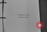 Image of Hell Fish Florida United States USA, 1945, second 12 stock footage video 65675058856