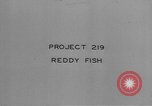 Image of Hell Fish Florida United States USA, 1945, second 13 stock footage video 65675058856