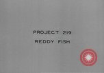 Image of Hell Fish Florida United States USA, 1945, second 14 stock footage video 65675058856