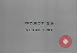 Image of Hell Fish Florida United States USA, 1945, second 15 stock footage video 65675058856