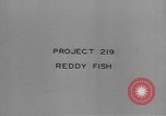 Image of Hell Fish Florida United States USA, 1945, second 16 stock footage video 65675058856