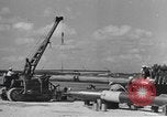 Image of Hell Fish Florida United States USA, 1945, second 18 stock footage video 65675058856
