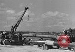 Image of Hell Fish Florida United States USA, 1945, second 19 stock footage video 65675058856