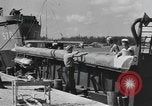 Image of Hell Fish Florida United States USA, 1945, second 28 stock footage video 65675058856