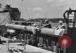 Image of Hell Fish Florida United States USA, 1945, second 30 stock footage video 65675058856