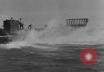 Image of Hell Fish Florida United States USA, 1945, second 34 stock footage video 65675058856