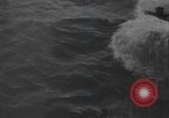 Image of Hell Fish Florida United States USA, 1945, second 39 stock footage video 65675058856