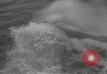 Image of Hell Fish Florida United States USA, 1945, second 41 stock footage video 65675058856