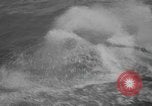 Image of Hell Fish Florida United States USA, 1945, second 42 stock footage video 65675058856