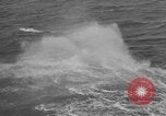Image of Hell Fish Florida United States USA, 1945, second 46 stock footage video 65675058856