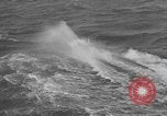 Image of Hell Fish Florida United States USA, 1945, second 47 stock footage video 65675058856