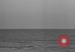 Image of Hell Fish Florida United States USA, 1945, second 54 stock footage video 65675058856
