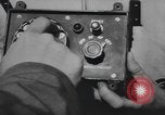 Image of Hell Fish Florida United States USA, 1945, second 61 stock footage video 65675058856