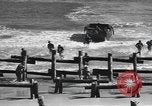 Image Hagensen pack charges de démolition Florida United States USA, 1945, de la seconde 26 séquences d'archives historiques vidéo 65675058859