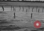 Image débarquement suivi du véhicule Florida United States USA, 1945, de la seconde 31 séquences d'archives historiques vidéo 65675058861
