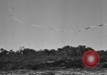 Image Conger Florida United States USA, 1945, de la seconde 18 séquences d'archives historiques vidéo 65675058865