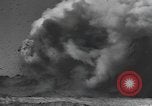 Image Conger Florida United States USA, 1945, de la seconde 22 séquences d'archives historiques vidéo 65675058865