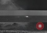 Image Conger Florida United States USA, 1945, de la seconde 27 séquences d'archives historiques vidéo 65675058865