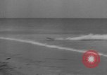 Image Conger Florida United States USA, 1945, de la seconde 41 séquences d'archives historiques vidéo 65675058865