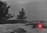 Image Conger Florida United States USA, 1945, de la seconde 45 séquences d'archives historiques vidéo 65675058865