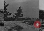 Image Conger Florida United States USA, 1945, de la seconde 46 séquences d'archives historiques vidéo 65675058865